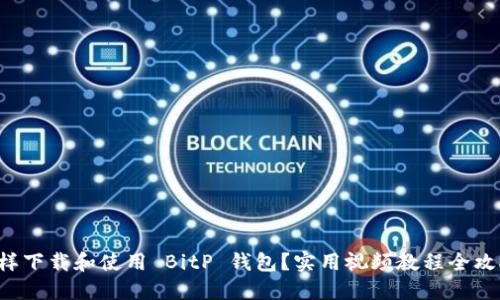 怎样下载和使用 BitP 钱包？实用视频教程全攻略！
