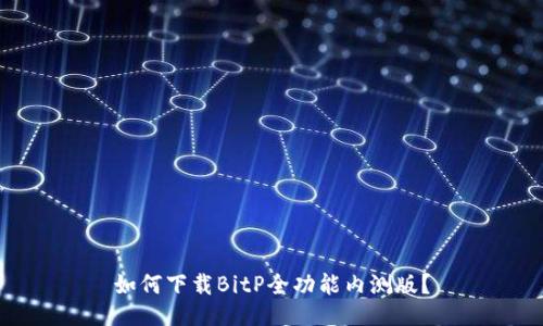 如何下载BitP全功能内测版？