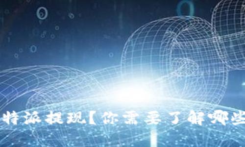 如何提速B特派提现？你需要了解哪些关键因素？