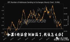 如果B特派密钥泄漏了，我该怎么办？