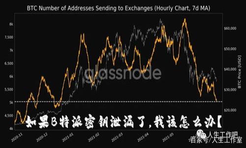 如果B特派密钥泄漏了，我该怎么办？