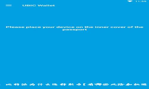 : 比特派为什么选择新币？有哪些风险和机遇？