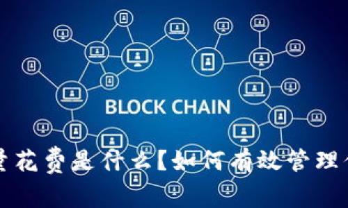 b特派钱包能量花费是什么？如何有效管理你的钱包能量？