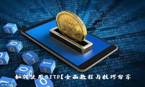如何使用BITP？全面教程与技巧分享