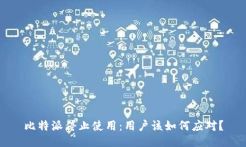 比特派停止使用：用户该如何应对？