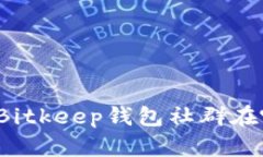 你知道Bitkeep钱包社群在哪里吗？