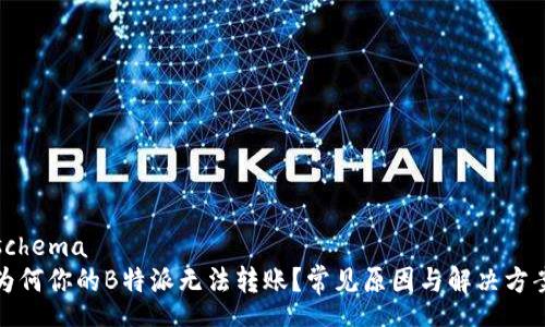 schema
为何你的B特派无法转账？常见原因与解决方案