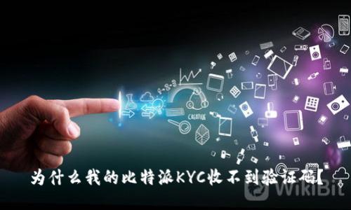 为什么我的比特派KYC收不到验证码？