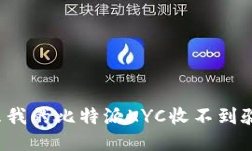 为什么我的比特派KYC收不到验证码？