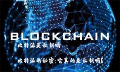 比特派是私钥吗比特派的秘密：它真的是私钥吗