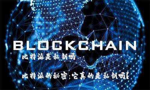比特派是私钥吗

比特派的秘密：它真的是私钥吗？