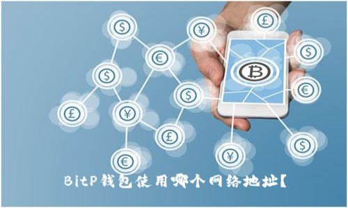 BitP钱包使用哪个网络地址？