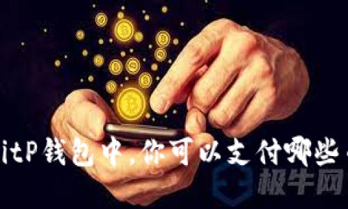  在BitP钱包中，你可以支付哪些币种？