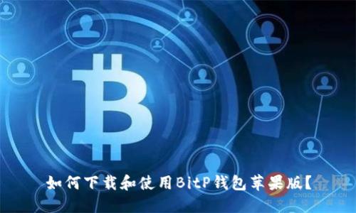如何下载和使用BitP钱包苹果版？