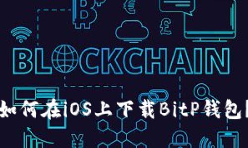 如何在iOS上下载BitP钱包？