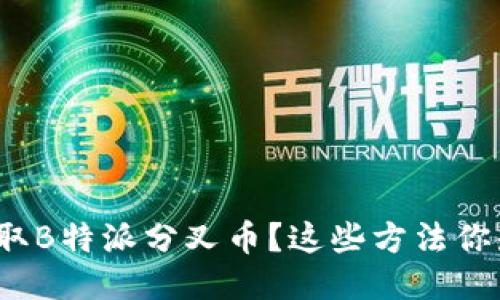 如何领取B特派分叉币？这些方法你知道吗？