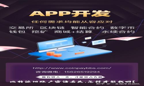 比特派旧账户密语丢失，怎样才能找回？