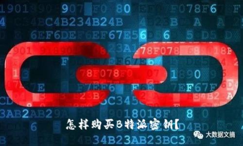 怎样购买B特派密钥？