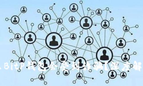 为什么BitP钱包会受到诈骗？深度解析原因