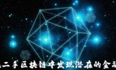 如何在二手区块链中发现潜在的金融机会？