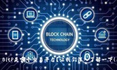 BitP是哪个交易平台？让我们深入了解一下！