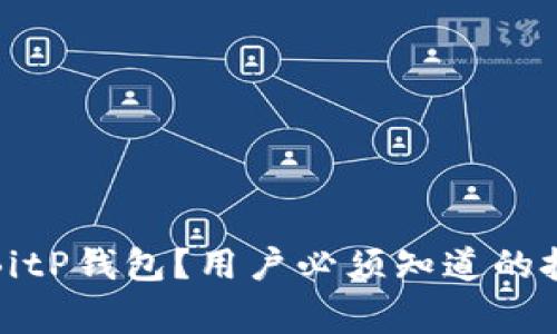 如何高效使用BitP钱包？用户必须知道的技巧和注意事项