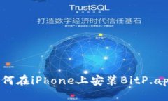 如何在iPhone上安装BitP.app？