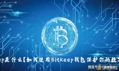 BitKeep是什么？如何使用BitKeep钱包保护你的数字资