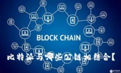 比特派与哪些公链相结合？