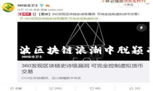 区块链技术近年来在全球范围内引发了巨大关注，尤其是在金融领域的应用更是引人注目。许多人开始思考：“那么，究竟有哪些公司在这波区块链浪潮中脱颖而出，成为领军者呢？”这个问题困扰着很多渴望了解前沿科技的普通用户。接下来，就让我们一同探讨一下区块链领域的十大金融公司。

区块链十大金融公司有哪些？