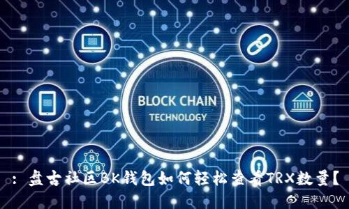 : 盘古社区BK钱包如何轻松查看TRX数量？