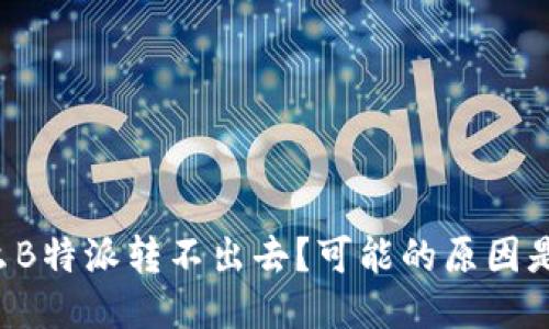 为什么B特派转不出去？可能的原因是什么？