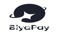 如何安全下载并使用BitP官方App？