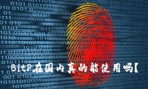 BitP在国内真的能使用吗？
