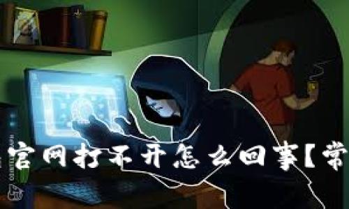 比特派钱包官网打不开怎么回事？常见问题解析