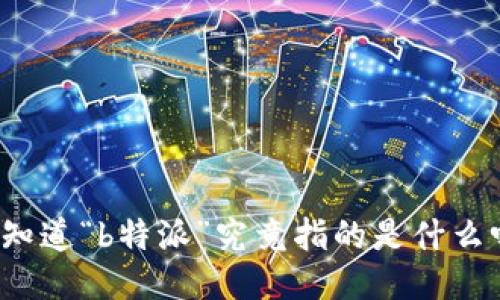 你知道“b特派”究竟指的是什么吗？