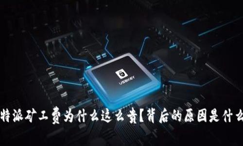 b特派矿工费为什么这么贵？背后的原因是什么？