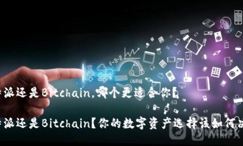 比特派还是Bitchain，哪个更适合你？

比特派还是Bitchain？你的数字资产选择该如何决策？