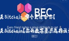 比特派还是Bitchain，哪个更适合你？比特派还是