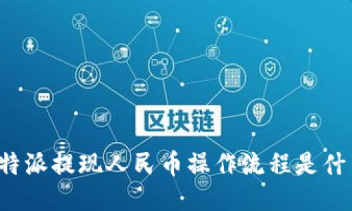 比特派提现人民币操作流程是什么？