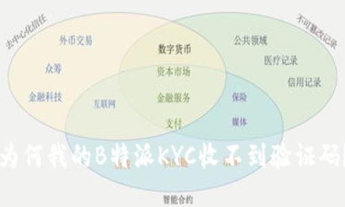 为何我的B特派KYC收不到验证码？