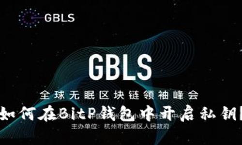 如何在BitP钱包中开启私钥？