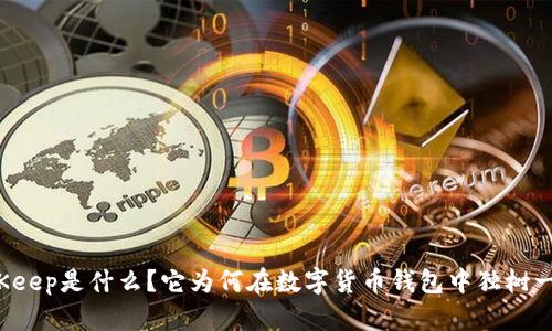 BitKeep是什么？它为何在数字货币钱包中独树一帜？