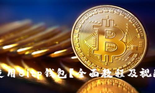 如何使用Bitp钱包？全面教程及视频指南