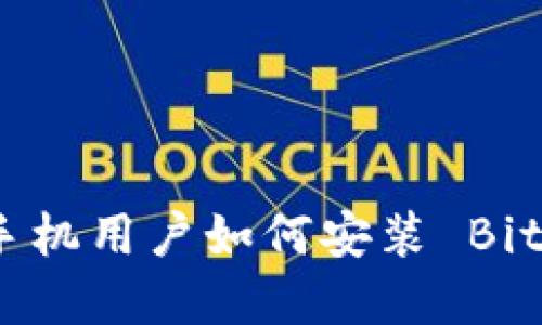 华为手机用户如何安装 BitPapp？