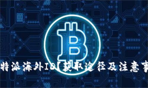 如何申请B特派海外ID？获取途径及注意事项有哪些？