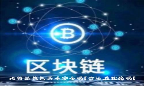 比特派钱包买币安全吗？你还在犹豫吗？