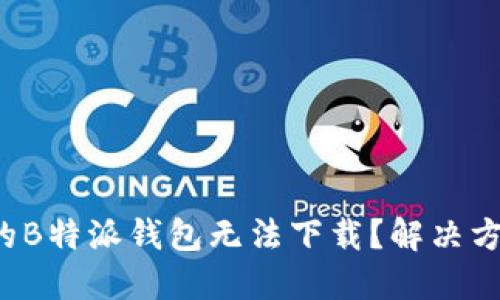 为什么我的B特派钱包无法下载？解决方法是什么？