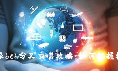 b特派bch分叉交易攻略：如何把握机会？