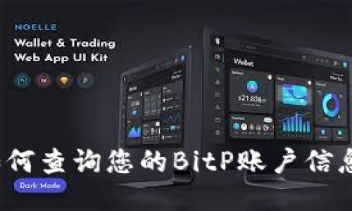 如何查询您的BitP账户信息？